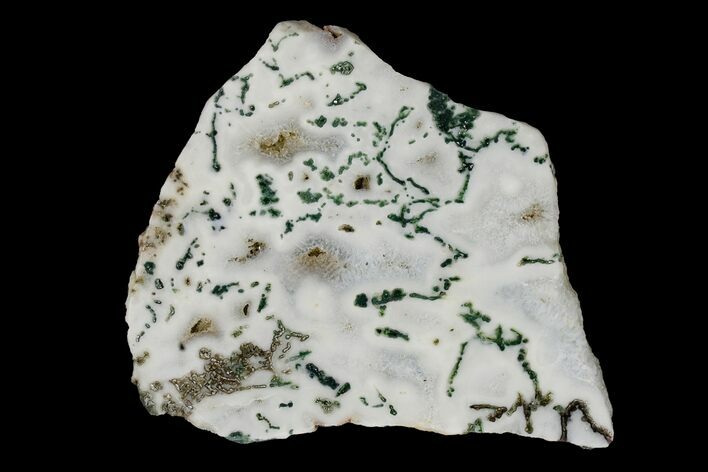 Polished Tree Agate Slab - India #167462